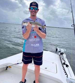 Speckled trout galore in Port Aransas waters.